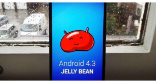 Google Android Jelly Bean