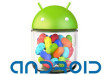 Jelly Bean Android