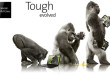 CORNING GORILLA GLASS 3